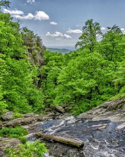 Neem Karoli Baba Ashram Store